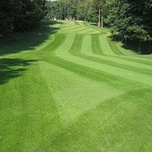 Golf- und Sportrasenflächen