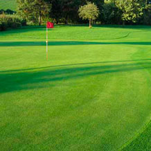 Golf- und Sportrasenfl&auml;chen