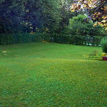 Privatgarten