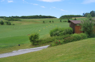 Yves Kessler Vegetationstechnik