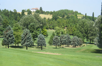 Yves Kessler Vegetationstechnik