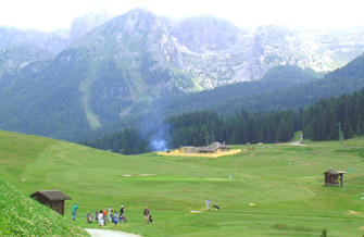 Yves Kessler Vegetationstechnik