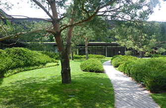 Yves Kessler Vegetationstechnik