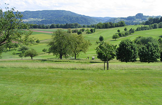 Yves Kessler Vegetationstechnik