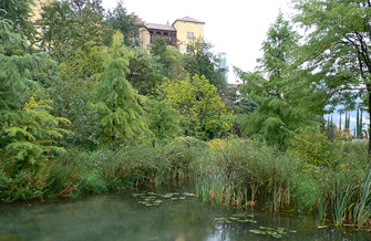 Yves Kessler Vegetationstechnik