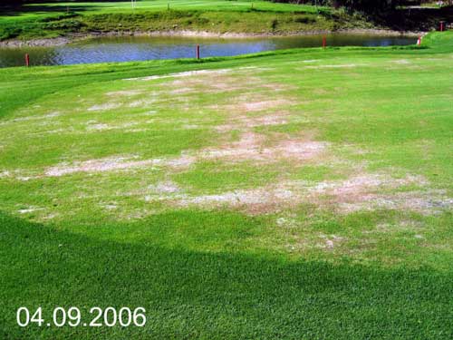 Yves Kessler Vegetationstechnik