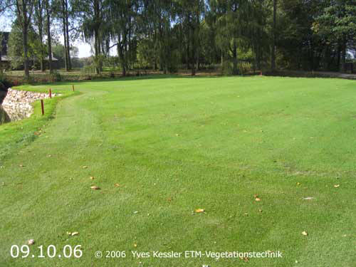 Yves Kessler Vegetationstechnik