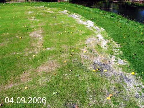 Yves Kessler Vegetationstechnik