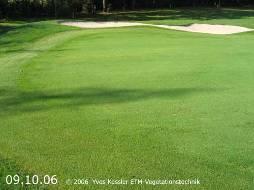 Yves Kessler Vegetationstechnik