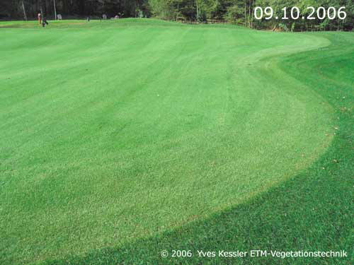 Yves Kessler Vegetationstechnik