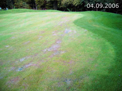 Yves Kessler Vegetationstechnik