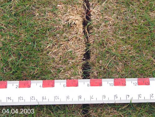 Yves Kessler Vegetationstechnik