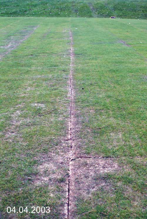 Yves Kessler Vegetationstechnik