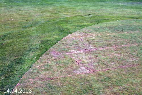 Yves Kessler Vegetationstechnik