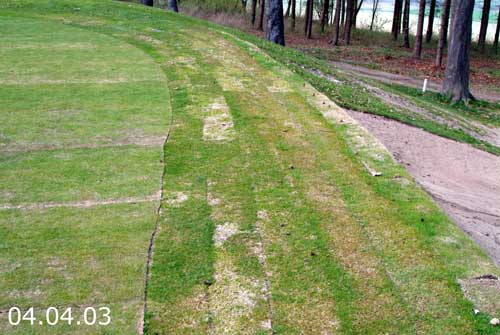 Yves Kessler Vegetationstechnik