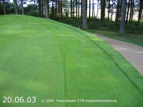 Yves Kessler Vegetationstechnik