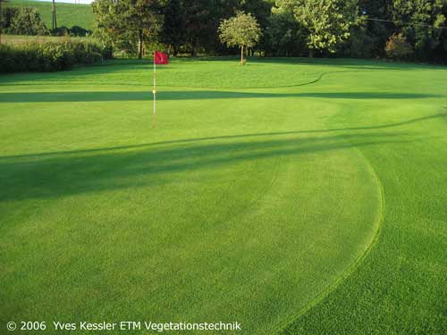 Yves Kessler Vegetationstechnik