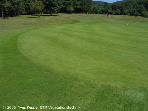 Yves Kessler Vegetationstechnik