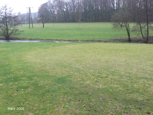 Yves Kessler Vegetationstechnik