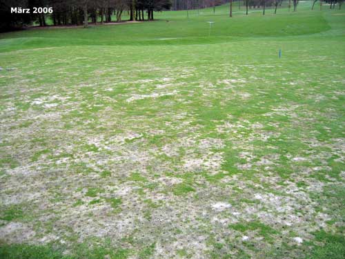 Yves Kessler Vegetationstechnik