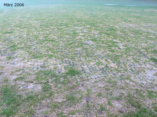 Yves Kessler Vegetationstechnik