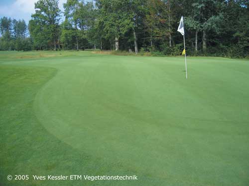 Yves Kessler Vegetationstechnik