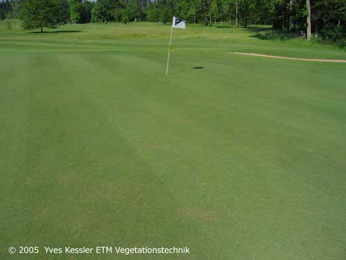 Yves Kessler Vegetationstechnik