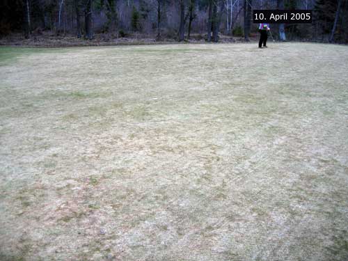 Yves Kessler Vegetationstechnik