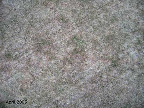 Yves Kessler Vegetationstechnik