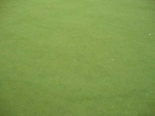 Yves Kessler Vegetationstechnik