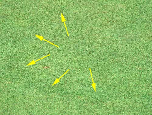 Yves Kessler Vegetationstechnik