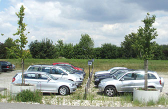 Verbessertes Wachstum an Extremstandorten