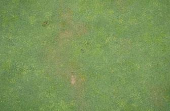 Yves Kessler Vegetationstechnik