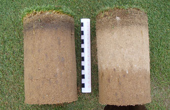 Yves Kessler Vegetationstechnik