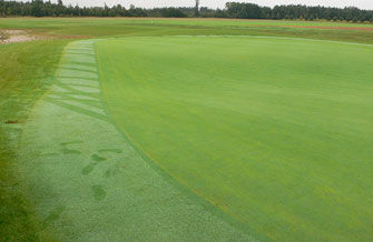 Yves Kessler Vegetationstechnik