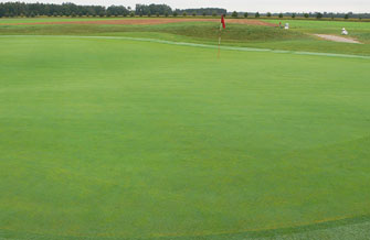 Yves Kessler Vegetationstechnik