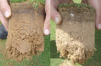 Yves Kessler Vegetationstechnik