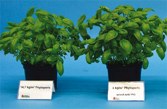 Yves Kessler Vegetationstechnik