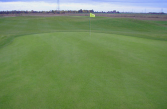 Yves Kessler Vegetationstechnik