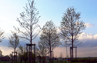 Yves Kessler Vegetationstechnik