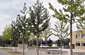 Yves Kessler Vegetationstechnik