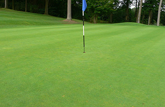 Yves Kessler Vegetationstechnik | L&ouml;sungen