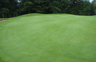 Yves Kessler Vegetationstechnik