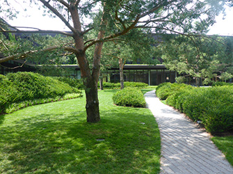 Yves Kessler Vegetationstechnik