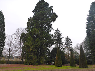 Yves Kessler Vegetationstechnik