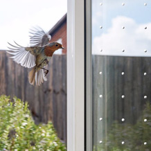 Yves Kessler Vegetationstechnik | Vogelschutz